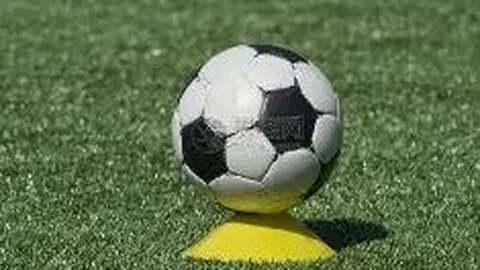 李连杰近况引关注：向太揭露手术真相为肿瘤加甲亢，热议持续！