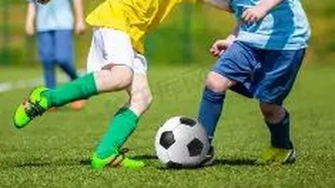 杏彩体育官方网站 产品 135728 iv1