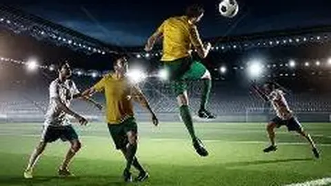 【安康】金融助力实体经济精准灌溉