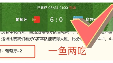 太阳连败终结，鹈鹕逆袭胜出：灰熊与国王的紧张对决
